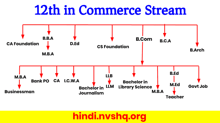after_12th_in_Commerce_Stream