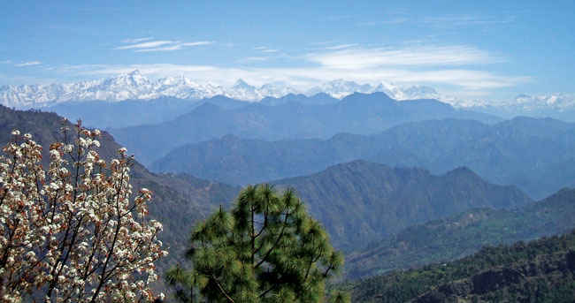 Abbott Mount Uttarakhand