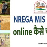 NREGA MIS Report