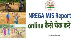 NREGA MIS Report