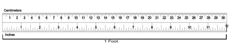1 Foot में कितने इंच होते हैं (फीट, फुट और इंच)