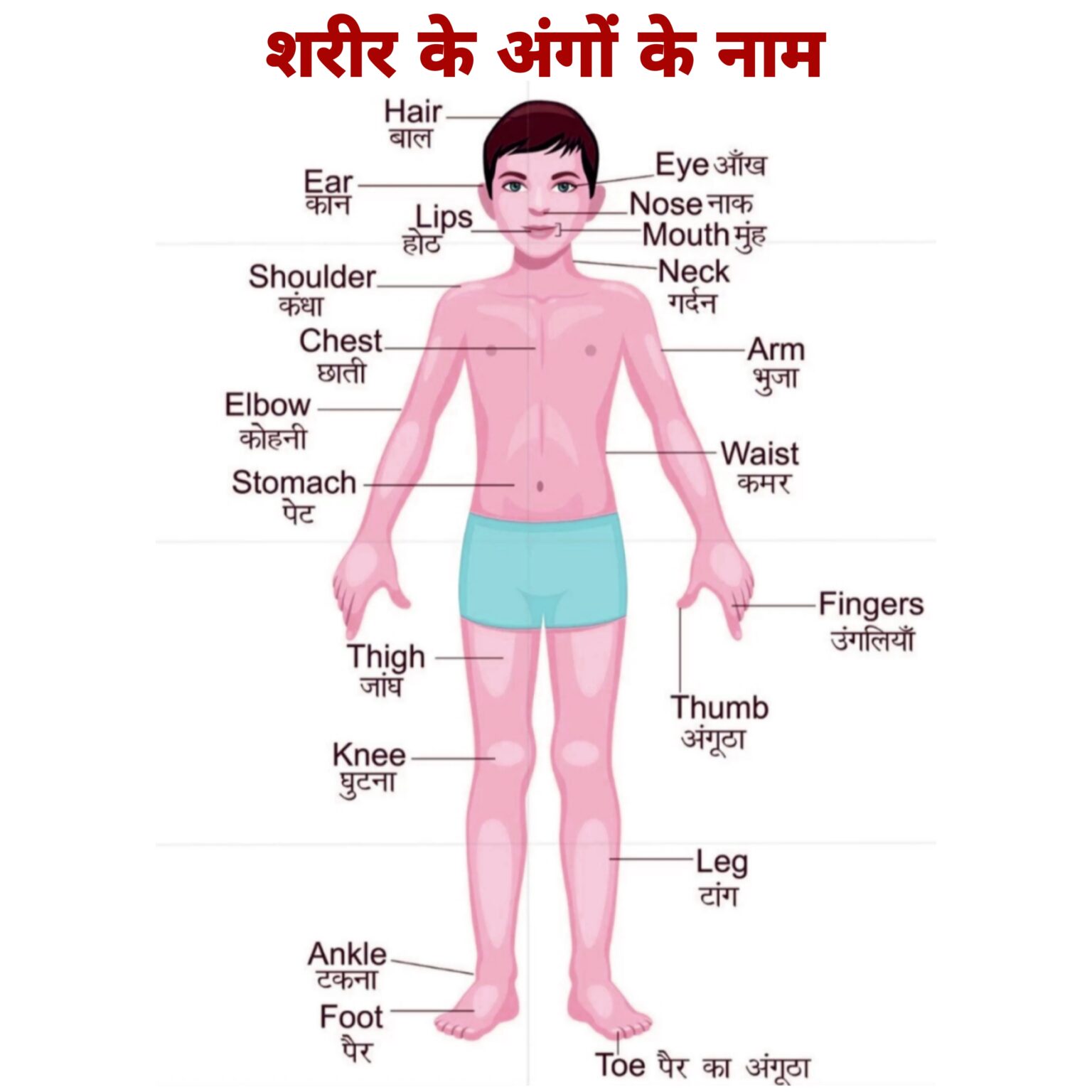 Body Parts Name In Hindi 