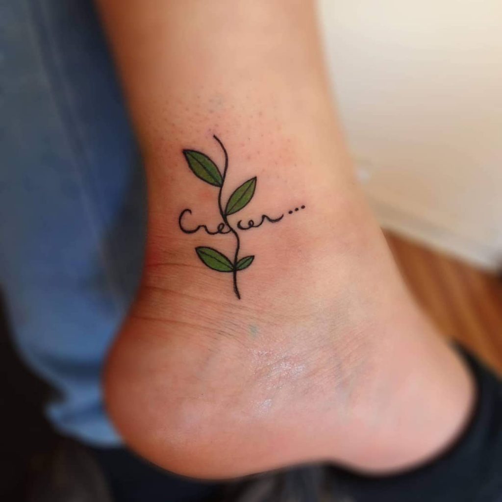A tiny sapling with a name