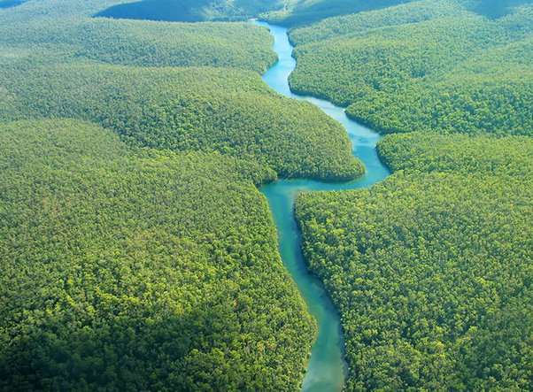 अमेज़न नदी Amazon River
