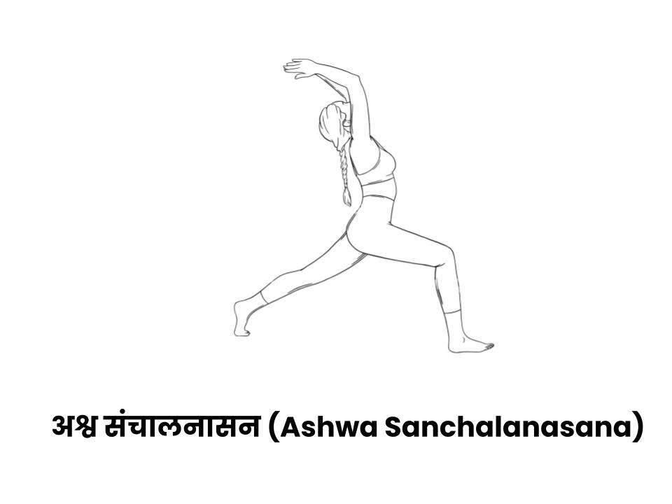 Ashwa Sanchalanasana) surya namaskar ninth aasan
