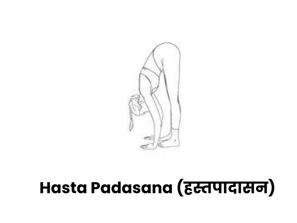Hasta Padasana surya namaskar third aasan