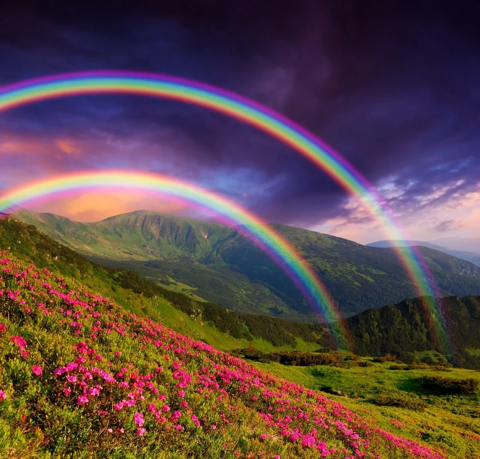 rainbow types