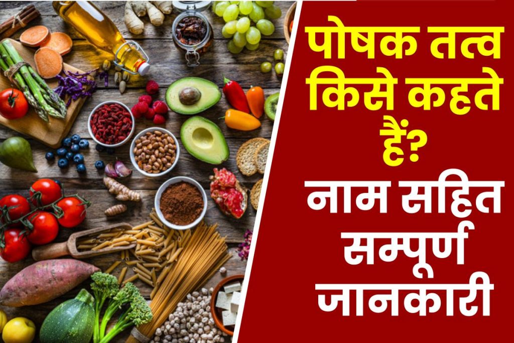 पोषक तत्व किसे कहते हैं? नाम सहित जानकारी | Nutrients Information in Hindi