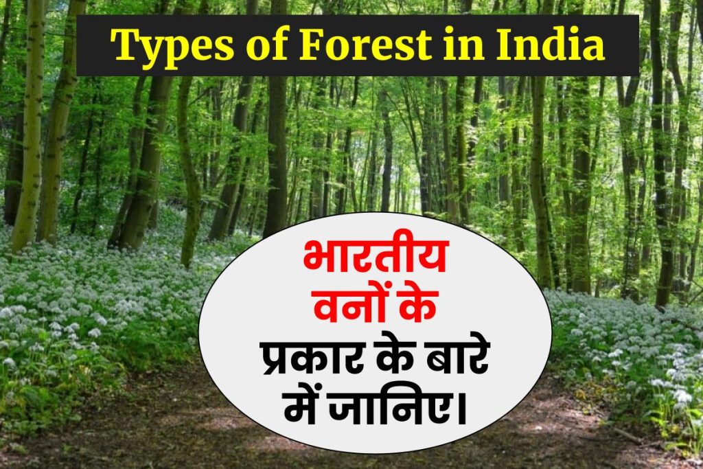 वन किसे कहते हैं, वनों के प्रकार, प्रमुख वन के नाम Forest in Hindi