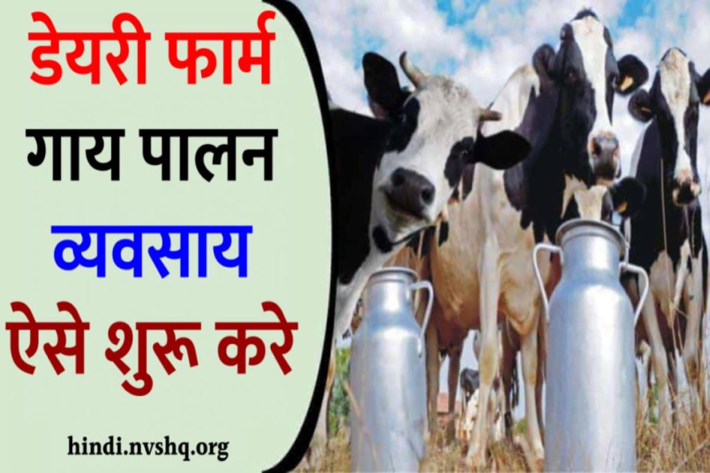 डेयरी फार्म गाय पालन व्यवसाय ऐसे शुरू करे पूरी जानकारी | Dairy Farming Business In Hindi