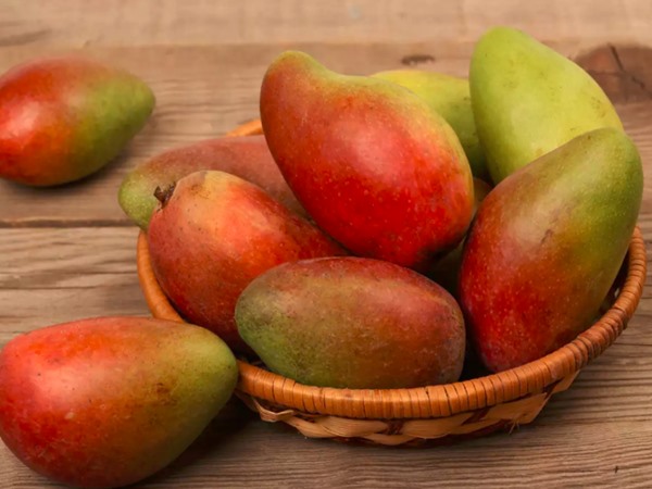 gulab khas mango