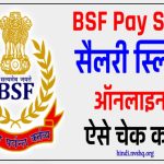 BSF Pay Slip Online : बीएसएफ सैलरी पे-स्लिप ऑनलाइन ऐसे चेक करें | BSF Payslip App Download