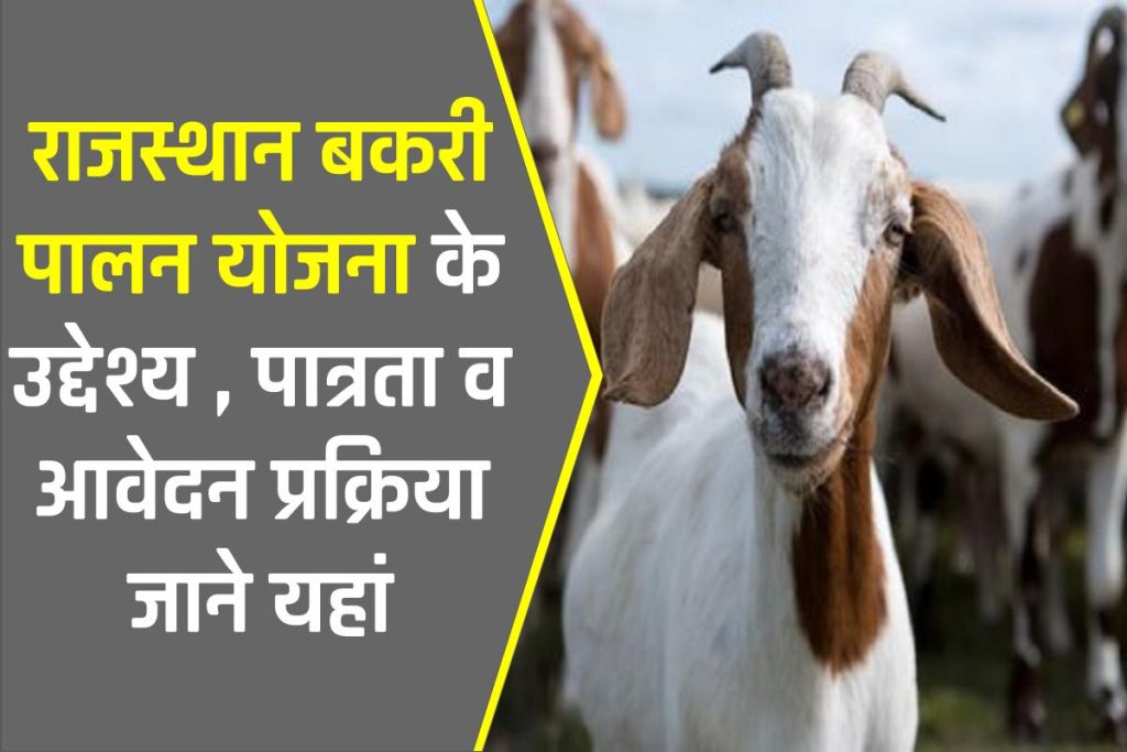 बकरी पालन योजना राजस्थान 2023: Bakri Palan Loan Yojana Rajasthan