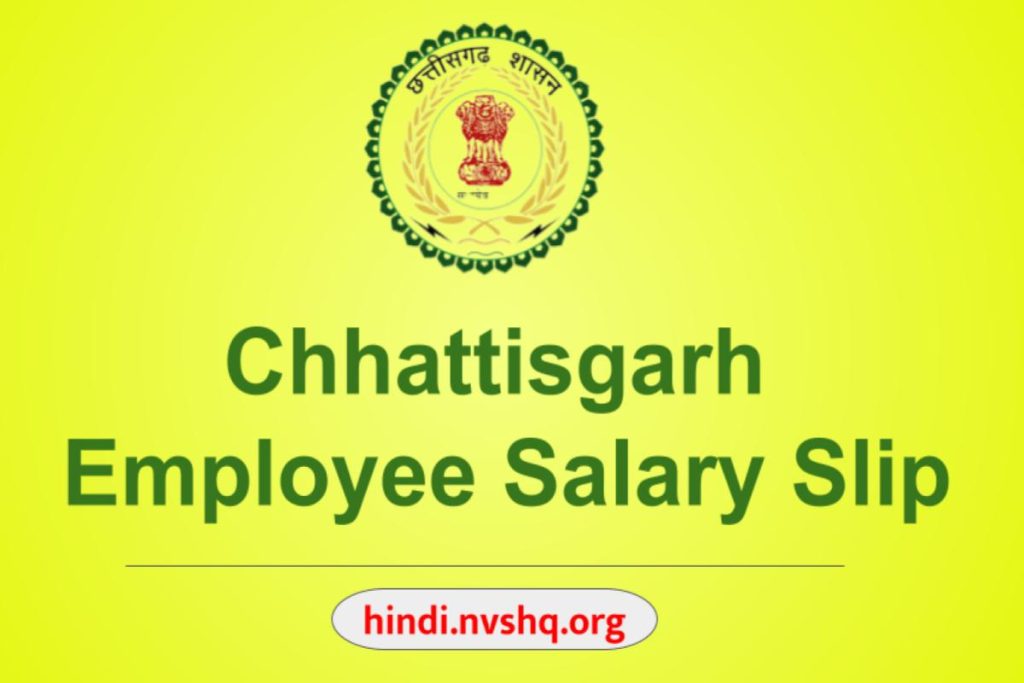 Chhattisgarh Employee Salary Slip 2023 Epayroll CG Download From E-kosh Online Pay Slip Website
