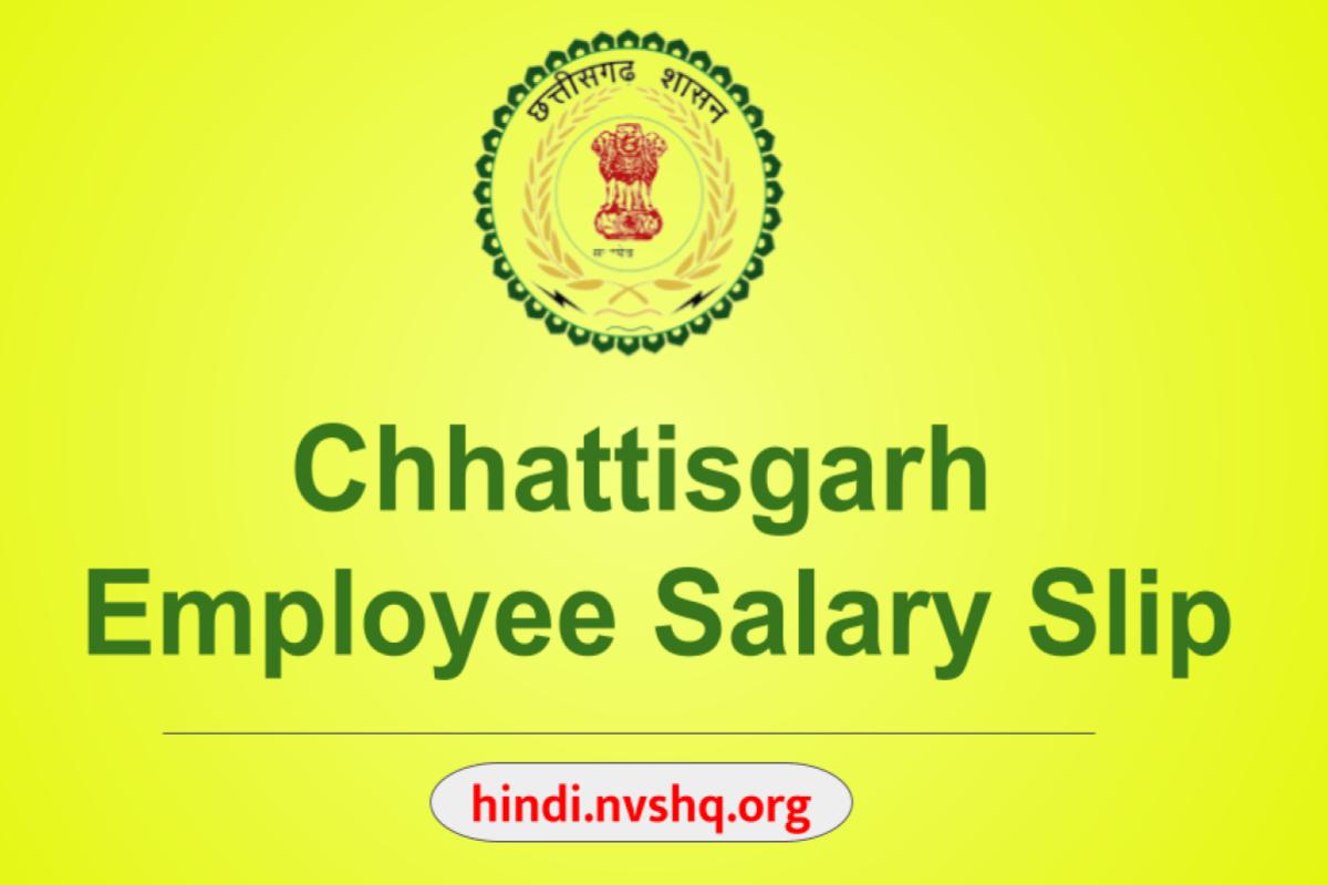 Chhattisgarh Employee Salary Slip Epayroll CG Download From E-kosh Online Pay Slip Website