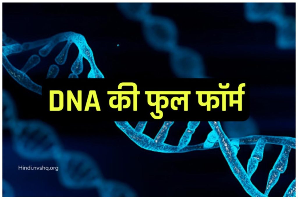DNA Ka Full Form in Hindi | डीएनए (DNA) का मतलब क्या होता है