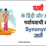 Patni Ka Paryayvachi Shabd Kya Hai – अंग्रेजी सायनोनिम्स भी जानिए
