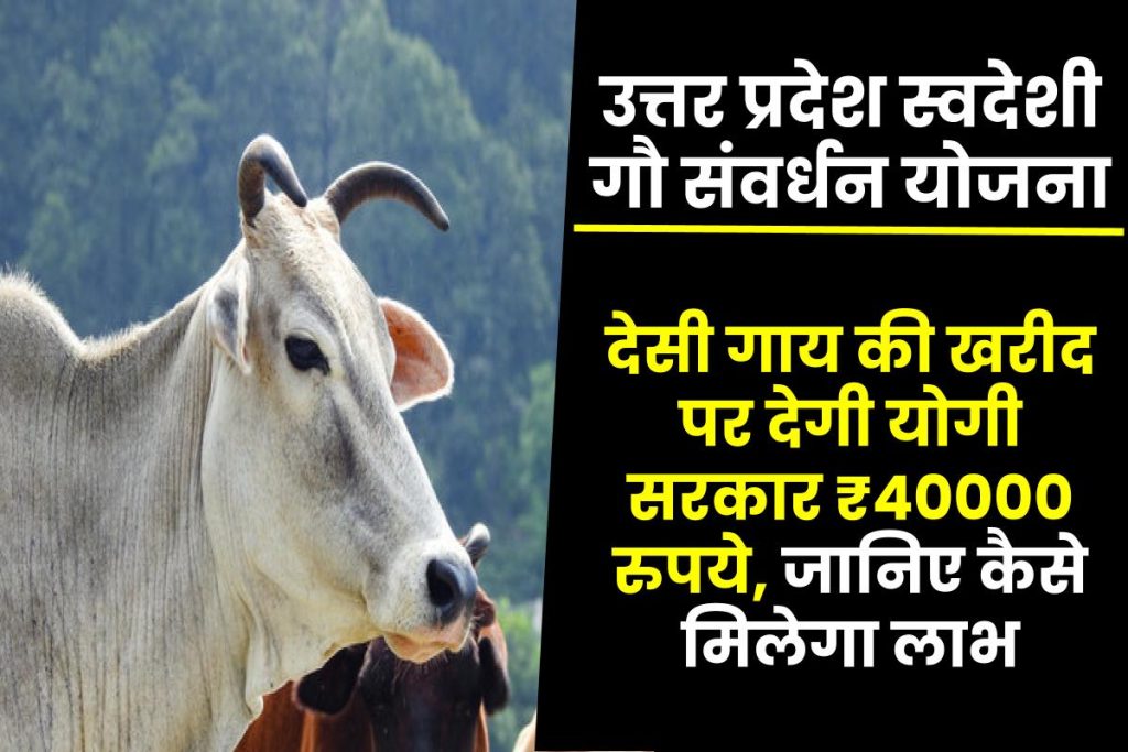 स्वदेशी गौ संवर्धन योजना 2023: देसी गाय की खरीद पर देगी ₹40000 रुपये, जानिए कैसे मिलेगा