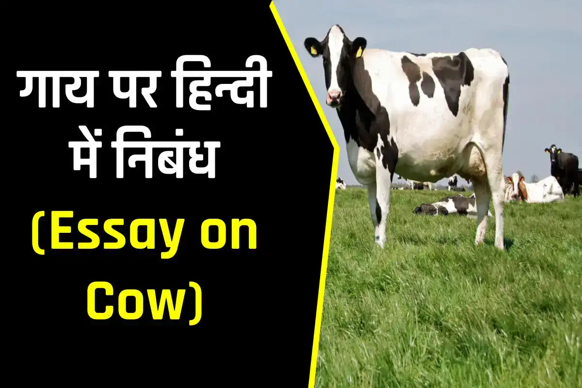 गाय पर निबंध हिन्दी में । Essay on Cow