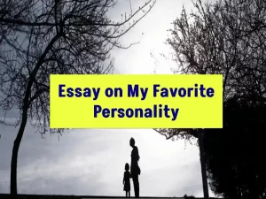 मेरा सर्वाधिक पसंदीदा व्यक्ति पर निबंध - Essay on My Favorite Personality