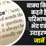 वाक्य – वाक्य की परिभाषा, भेद और उदाहरण : हिन्दी व्याकरण