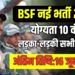 BSF Vacancy: BSF भर्ती 10वीं पास युवाओं के लिए नोटिफिकेशन जारी, आवेदन 18 से शुरू