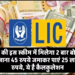 LIC की इस स्कीम में मिलेगा 2 बार बोनस रोजाना 45 रुपये जमाकर पाएं 25 लाख रुपये, ये है कैलकुलेशन