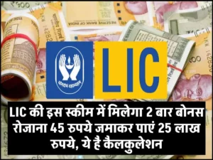 LIC की इस स्कीम में मिलेगा 2 बार बोनस रोजाना 45 रुपये जमाकर पाएं 25 लाख रुपये, ये है कैलकुलेशन